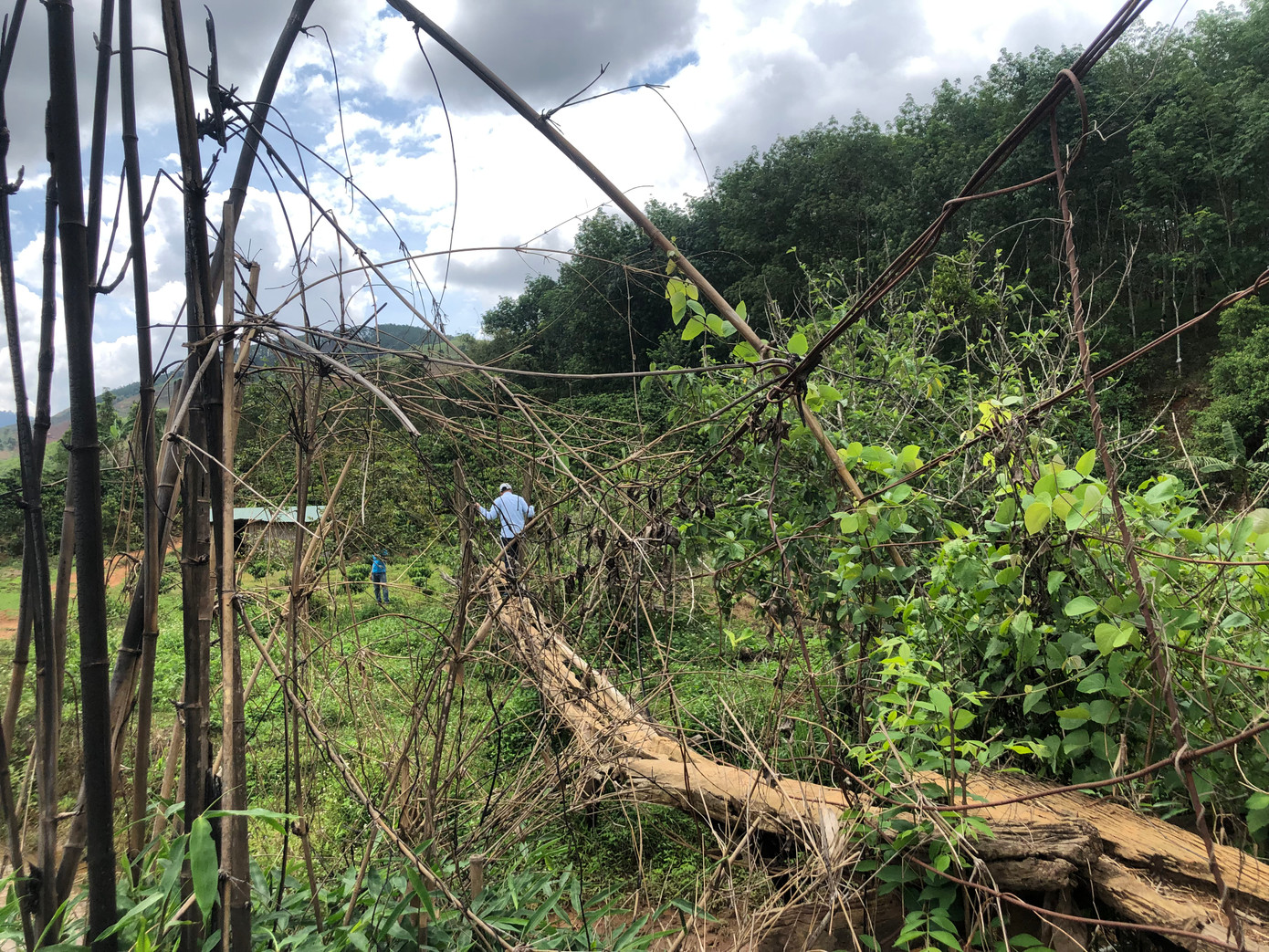 Kon Tum có khoảng 29 cầu treo trong tình trạng xuống cấp, hư hỏng nặng