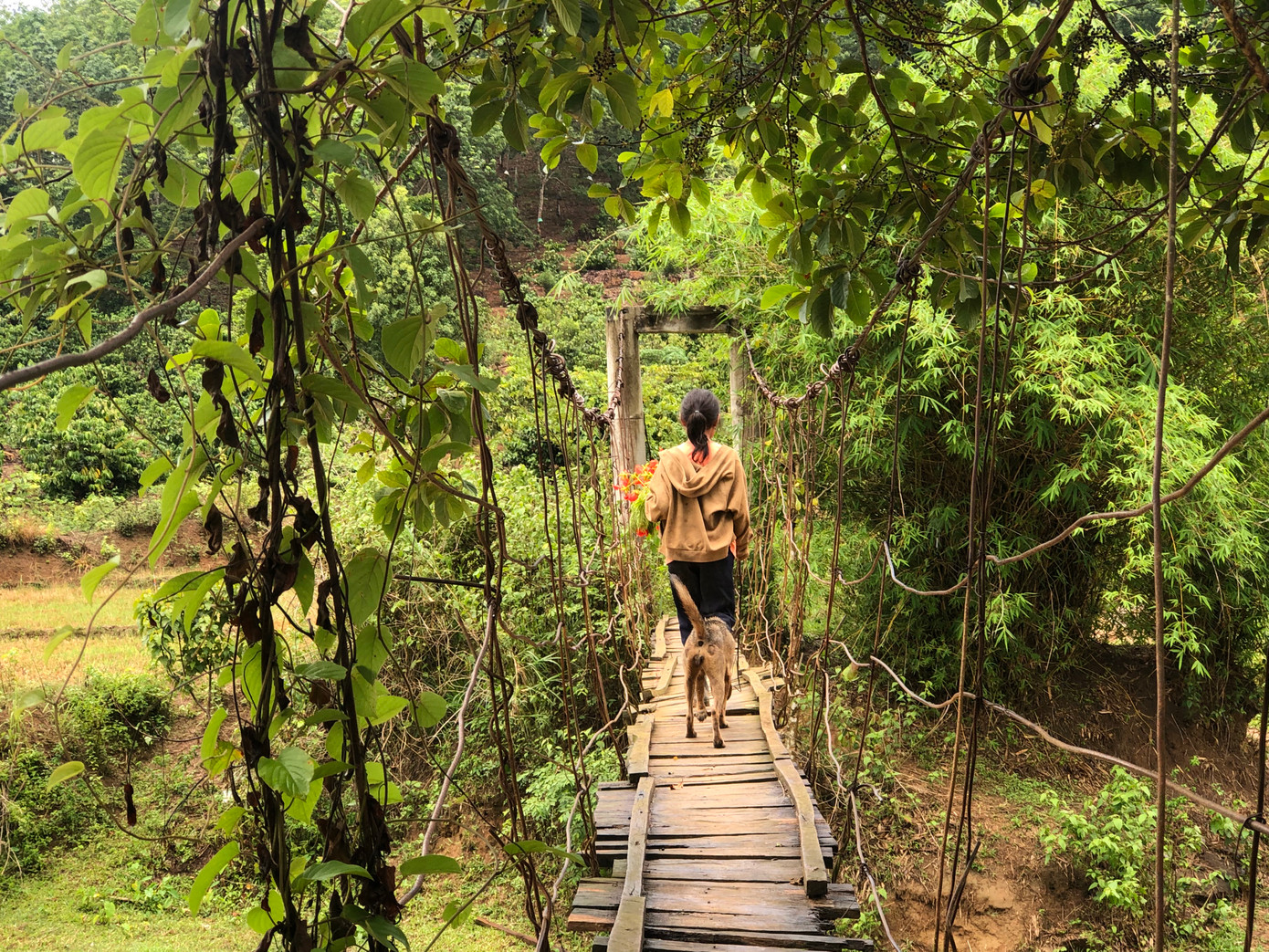 Kon Tum kiểm tra, đánh giá toàn bộ công trình cầu vượt, cầu dân sinh, cầu tạm