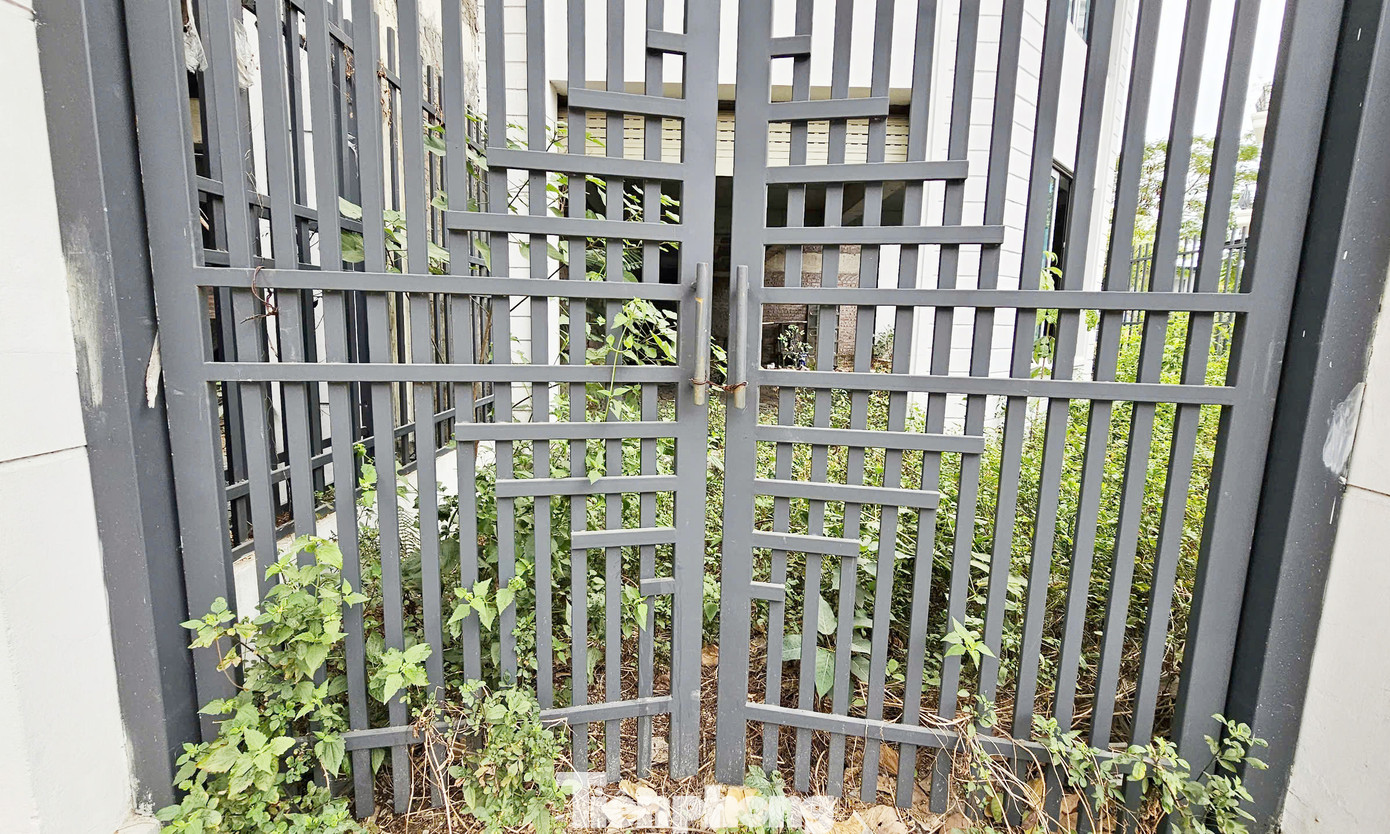 Tuy nhiên, bên trong dự án vẫn có hàng chục căn biệt thự xây xong phần thô hoàn thiện mặt ngoài bỏ hoang hóa, cỏ dại mọc um tùm. Tuy nhiên, bên trong dự án vẫn có hàng chục căn biệt thự xây xong phần thô hoàn thiện mặt ngoài bỏ hoang hóa, cỏ dại mọc um tùm.