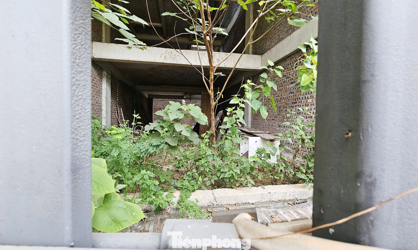 Tuy nhiên, bên trong dự án vẫn có hàng chục căn biệt thự xây xong phần thô hoàn thiện mặt ngoài bỏ hoang hóa, cỏ dại mọc um tùm. Tuy nhiên, bên trong dự án vẫn có hàng chục căn biệt thự xây xong phần thô hoàn thiện mặt ngoài bỏ hoang hóa, cỏ dại mọc um tùm.