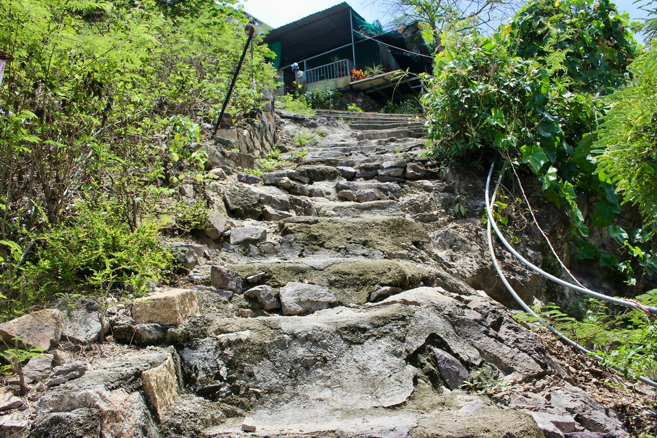 Đường lên nhà của bà Võ Thị Bích Tuyết trên núi Chụt.