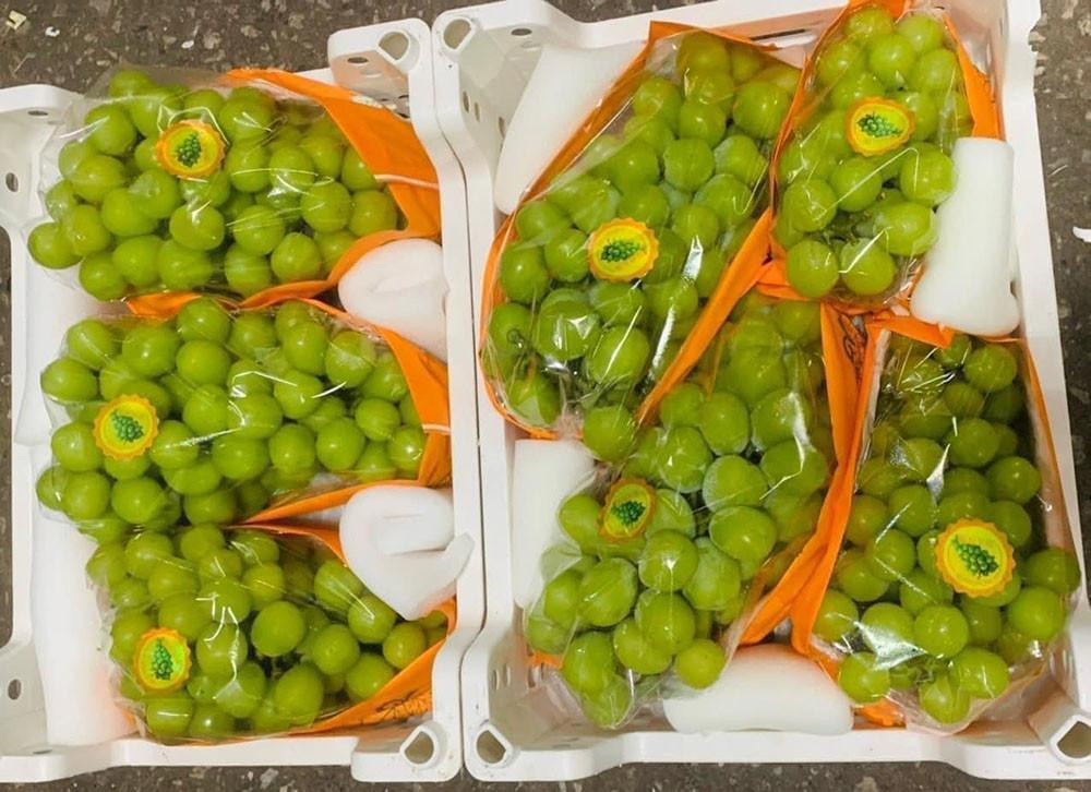 Tương tự, nho sữa Trung Quốc vẫn đang "làm mưa làm gió" tại chợ. Loại nho này đóng theo rành trọng lượng 5kg được rao bán với giá 350.000 đồng/rành (khoảng 70.000 đồng/kg). Trong khi giá bán lẻ tại các chợ dao động từ 110.000-150.000 đồng/kg tuỳ loại. (Ảnh: NVCC)