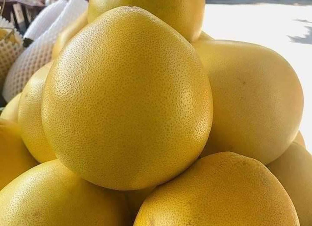 Bưởi Phúc Kiến (Trung Quốc) giá bán sỉ từ 15.000-22.000 đồng/quả tuỳ loại (Ảnh: NVCC)