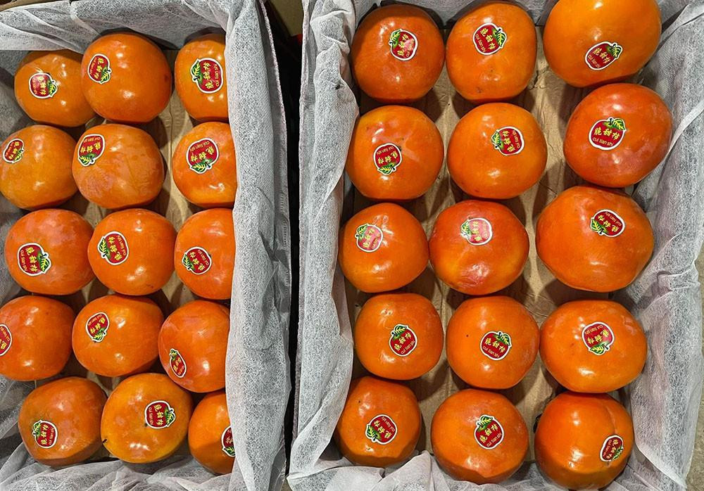 Hồng Vân Sơn (Trung Quốc) được bỏ sỉ với giá siêu rẻ, chỉ 15.000 đồng/kg (Ảnh: NVCC)