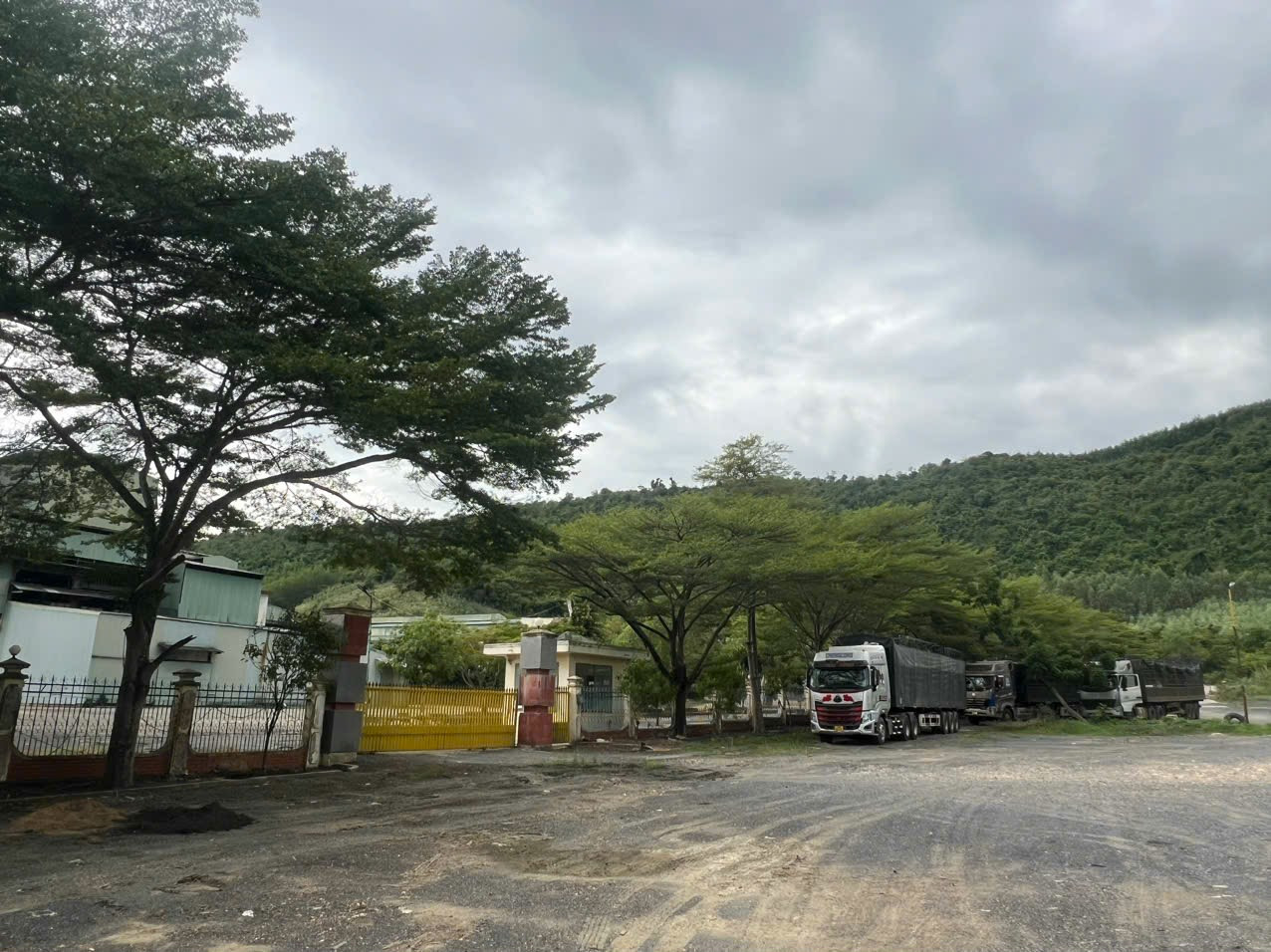 Có 7 nhà thầu khiếu nại về những "bất thường" trong phiên đấu giá của Công ty Rồng Vàng. Có 7 nhà thầu khiếu nại về những "bất thường" trong phiên đấu giá của Công ty Rồng Vàng.