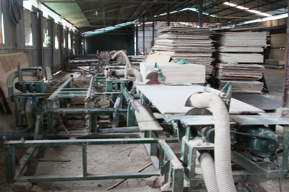 Nhà xưởng mốc meo