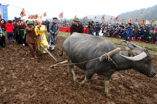 cu cao niên ở đọi sơn được chọ khoác Long bào và đeo mặt nạ hoá thân thành Vua Lê Đại Hành nhập thế và bắt đàu nghi lễ Tịch điền