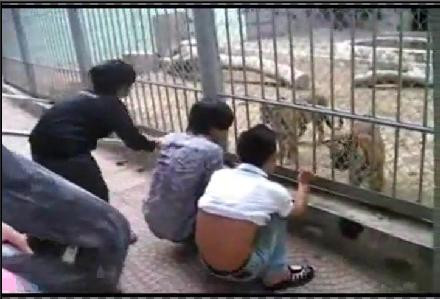 Hình cắt từ clip