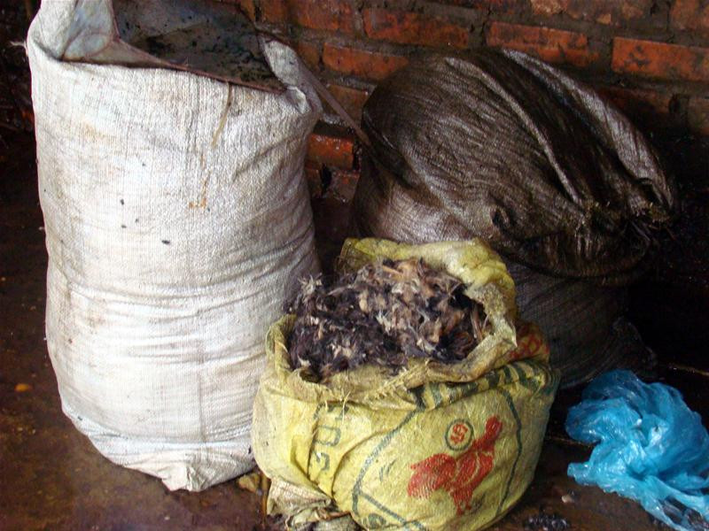 Lông chó bừa bãi ở cống công cộng Ruồi nhặng bu đầy rác thải Xương chó đầy đường Lông chó chất đầy, chờ người đến chở đi