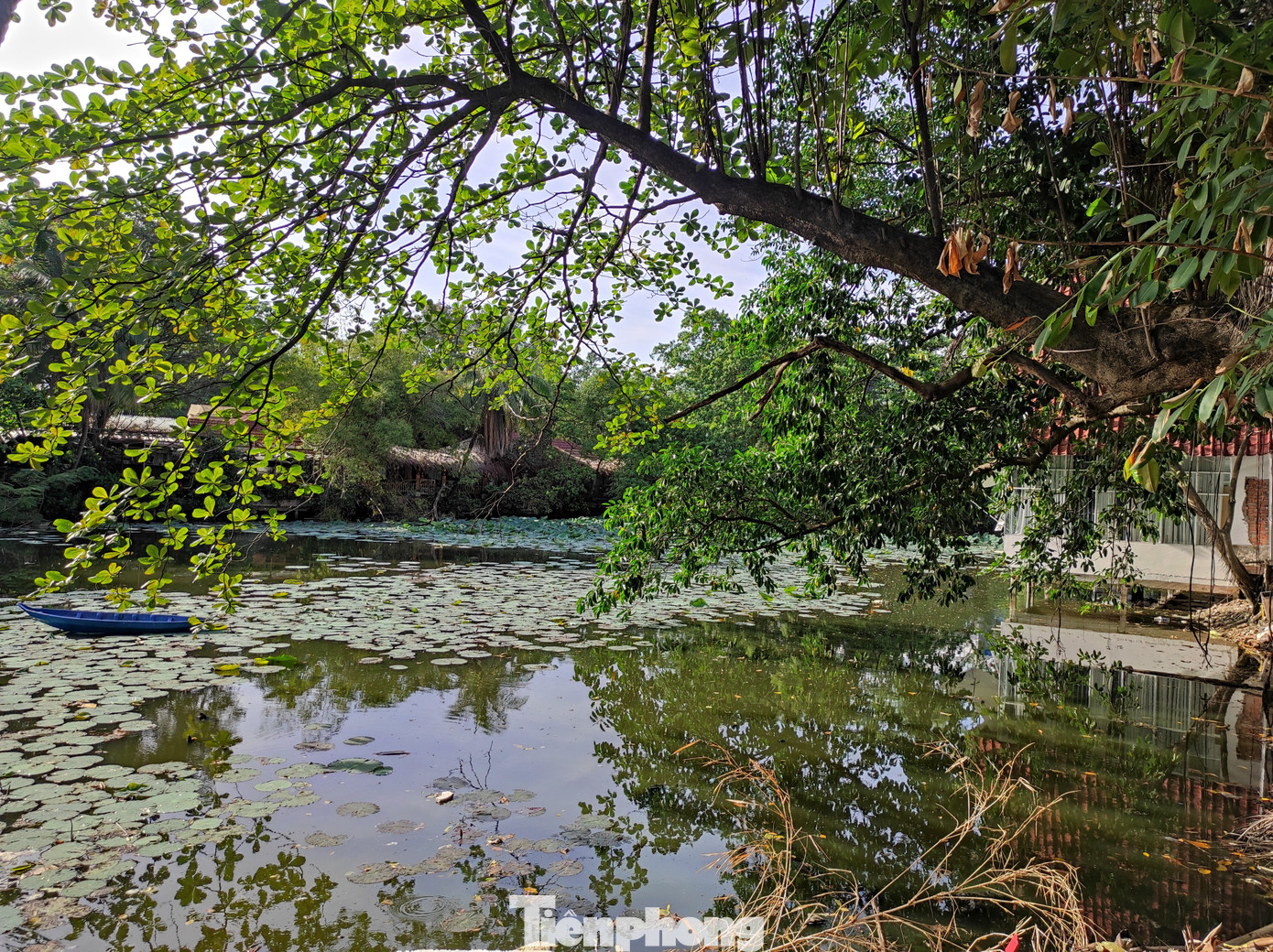 Hiện nay, phần còn lại của hồ Kỳ Hòa đang được bao quanh bởi các công trình, địa điểm kinh doanh ẩm thực, quán cà phê... Hiện nay, phần còn lại của hồ Kỳ Hòa đang được bao quanh bởi các công trình, địa điểm kinh doanh ẩm thực, quán cà phê...