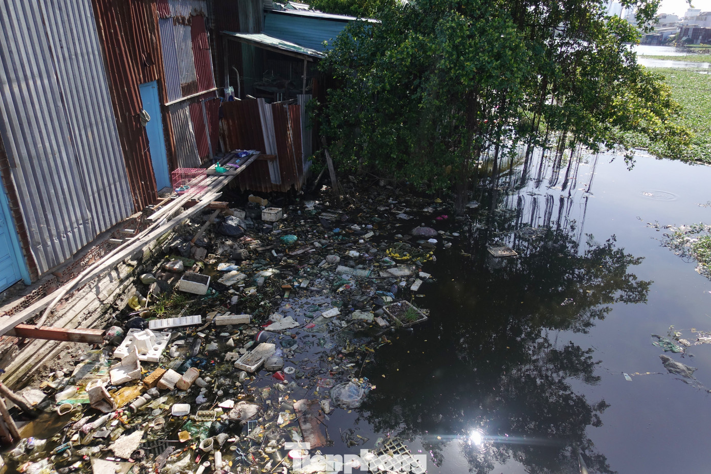 Hiện nay, nhiều loại rác thải xuất hiện ở ven ao Song Tân gây ô nhiễm môi trường và làm mất mỹ quan đô thị. Hiện nay, nhiều loại rác thải xuất hiện ở ven ao Song Tân gây ô nhiễm môi trường và làm mất mỹ quan đô thị.