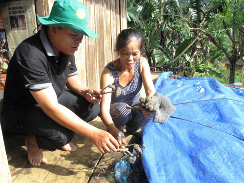 Bà Bùi Thị Kim Hoa giới thiệu số lan kim tuyến vừa mua được. Bà Bùi Thị Kim Hoa giới thiệu số lan kim tuyến vừa mua được