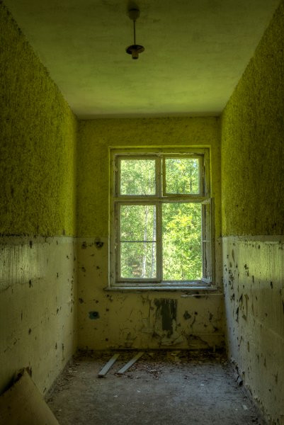 Căn phòng có cửa sổ nhìn ra thiên nhiên