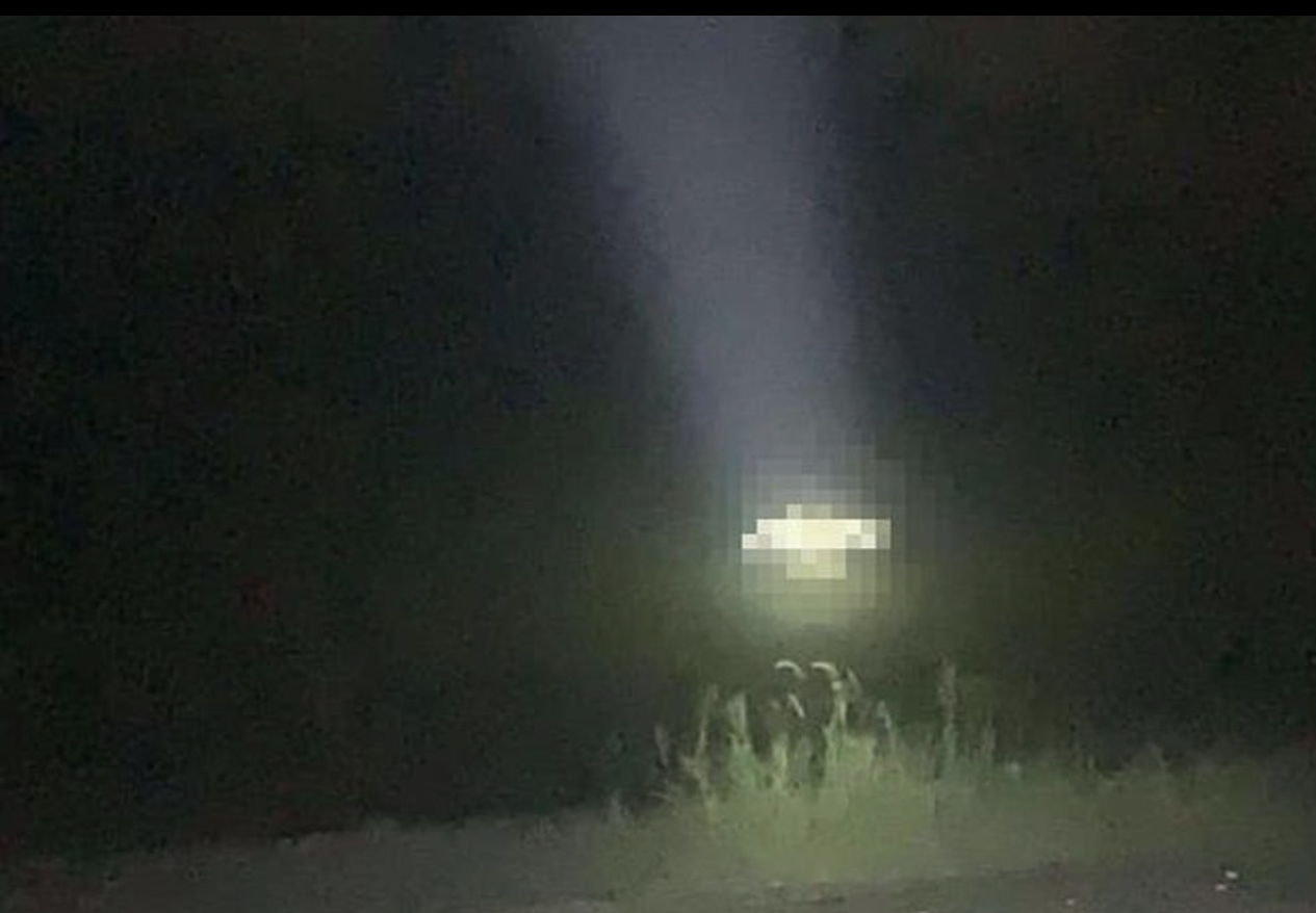 Thi thể nạn nhân T.N.P được phát hiện trên hồ Hà Thượng. Ảnh: CA