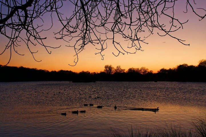 London đẹp như một bức tranh Tháp London qua mọi góc nhìn Dòng sông Thames yên bình London Eye - một trong những biểu tượng của London Big Ben trứ danh Cây cầu Golden Jubilee. Từ đây có thể dễ dàng thấy đc cả 2 biểu tượng của London là London Eye và Big Ben. Cây cầu Southpark lung linh trong ánh điện Cây cầu Westminster nổi tiếng Chiều tàn cuối đông Richmond Một góc nhỏ của Portobello London ấm áp sắc xuân với màu hồng tươi của hoa đào nở Sự bình yên bao trùm lên London khi màn đêm buông xuống Bắt gặp người nghệ sĩ đang say sưa với những giai điệu nhạc vào một chiều cuối đông.