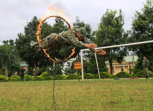 Bay qua vòng lửa. 