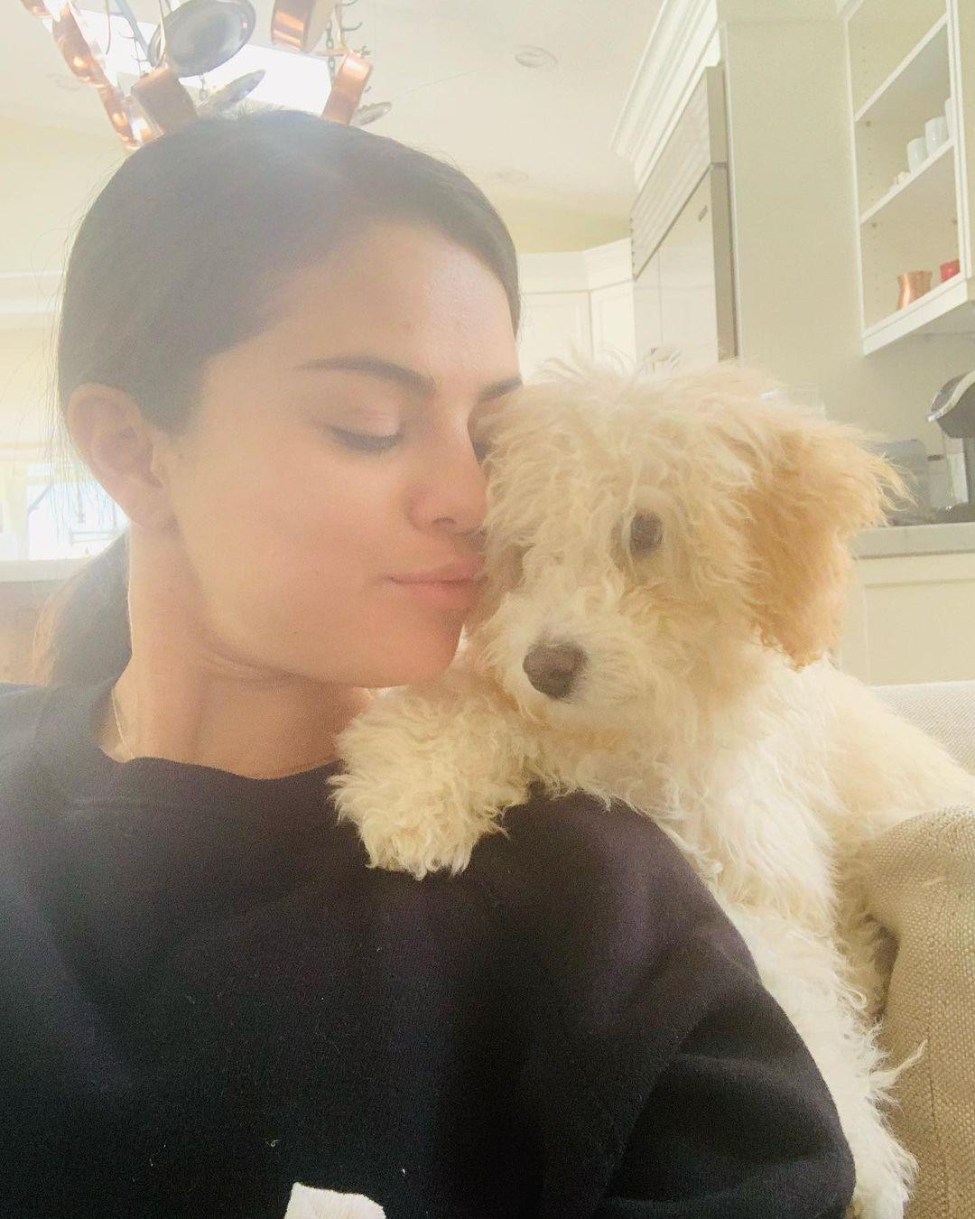 Selena Gomez âu yếm chú chó mới Winnie.