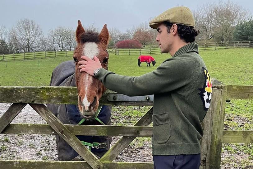 Joe Jonas vuốt ve ngựa cưng ở Anh.
