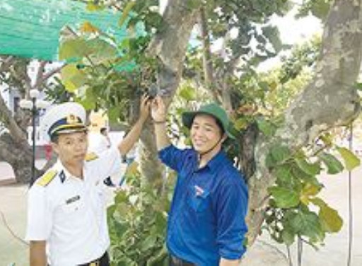 Độc đáo vật phẩm đấu giá gây quỹ Hỗ trợ tài năng trẻ ảnh 3