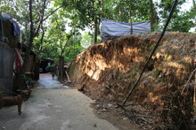 Xây dựng ồ ạt, hàng loạt khu du lịch đang bị phá hỏng ảnh 3