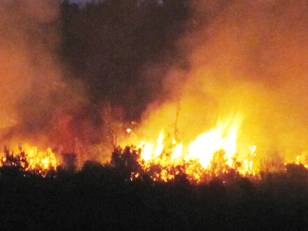 Hiện trường vụ cháy rừng tối qua Ảnh: N.Cường