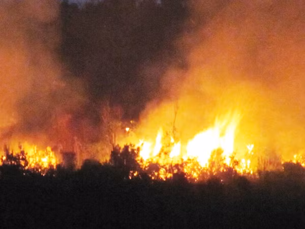 Hiện trường vụ cháy rừng tối qua Ảnh: N.Cường