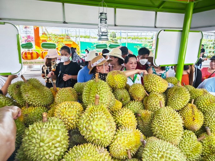 Sầu riêng được xem là loại trái cây tỉ đô nhưng là dự báo trong tương lai, còn hiện tại vẫn chưa vượt qua được thanh long về giá trị ngoại tệ thu về
