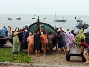 Di chuyển tàu thuyền vào sâu đất liền tránh bão số 8 tại quận Sơn Trà, Đà Nẵng. (Ảnh: Trần Lê Lâm/TTXVN)
