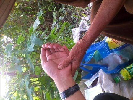 Xem tay và phán. Xem tay và phán