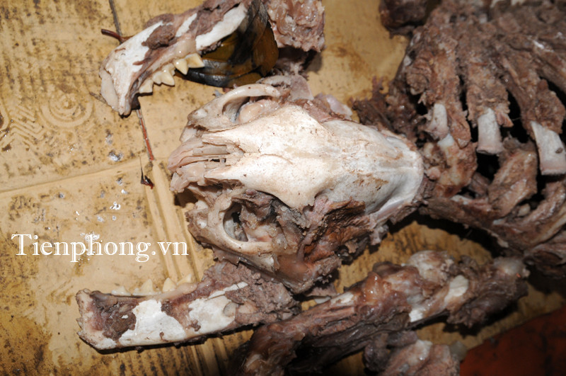 Ảnh: Tuấn Nguyễn