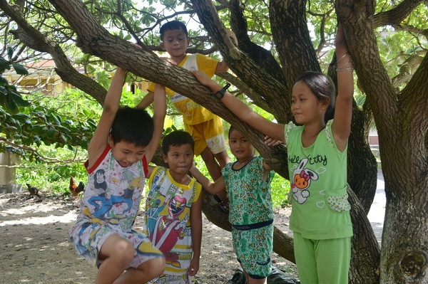 Ngoài giờ lên lớp, các em cùng nhau vui chơi dưới tán cây phong ba