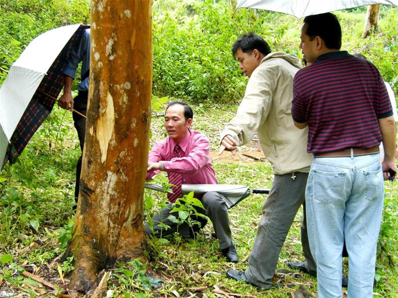 Ông Thành hướng dẫn kỹ thuật về gỗ