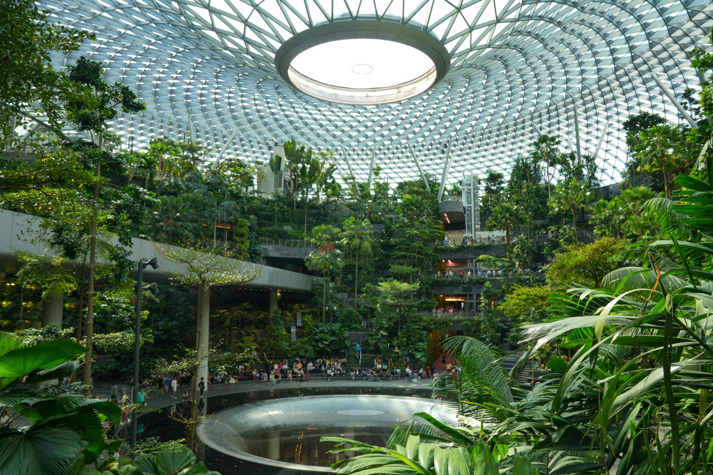 Bất cứ hành khách nào khi đặt chân vào khu phức hợp Jewel ở sân bay Changi (Singapore) đều cảm thấy choáng ngợp bởi mái vòm kính khổng lồ cùng hàng nghìn cây xanh tươi tốt.