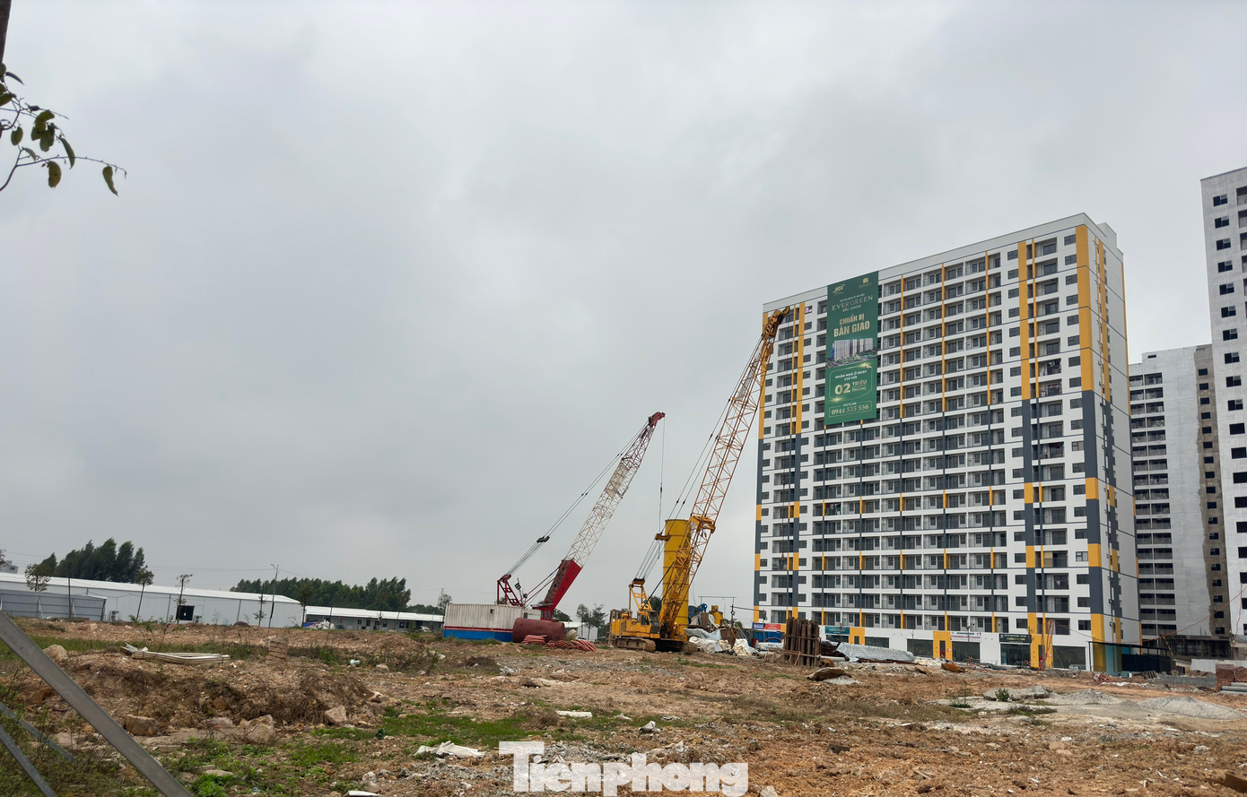 Nhiều địa phương chưa quy hoạch bố trí quỹ đất NƠXH như: Ninh Bình, Lai Châu, Nghệ An, Ninh Thuận, Đồng Tháp. (Ảnh minh họa: Lộc Liên) Nhiều địa phương chưa quy hoạch bố trí quỹ đất NƠXH như: Ninh Bình, Lai Châu, Nghệ An, Ninh Thuận, Đồng Tháp. (Ảnh minh họa: Lộc Liên)