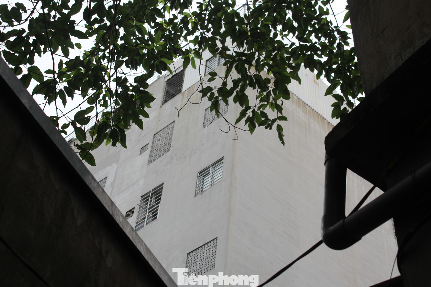 Bí thư Quận ủy Thanh Xuân Bùi Huyền Mai cho biết, tòa chung cư mini này đã được cấp sổ đỏ và các hộ dân sống ở nơi này là đồng chủ sở hữu. Bí thư Quận ủy Thanh Xuân Bùi Huyền Mai cho biết, tòa chung cư mini này đã được cấp sổ đỏ và các hộ dân sống ở nơi này là đồng chủ sở hữu.