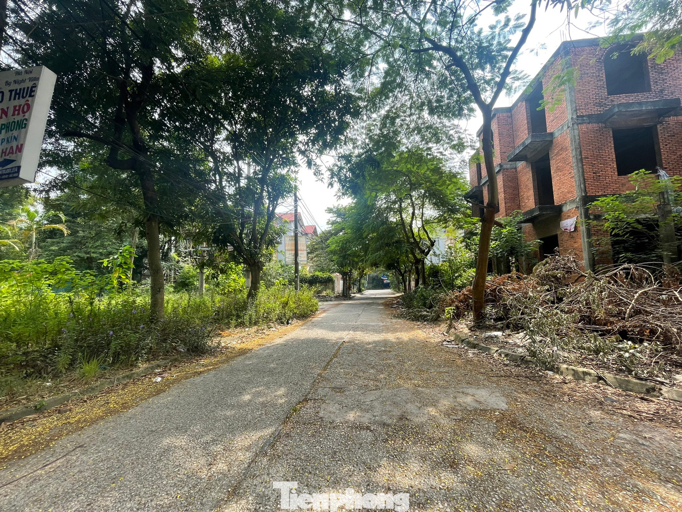 Nhiều biệt thự tại Dự án khu nhà ở xã Hoàn Sơn bỏ hoang lâu năm, tiện ích và hạ tầng không đầy đủ, sân chơi không có người chăm sóc, cắt tỉa, cỏ dại mọc um tùm. (Ảnh: Lập Đông) Nhiều biệt thự tại Dự án khu nhà ở xã Hoàn Sơn bỏ hoang lâu năm, tiện ích và hạ tầng không đầy đủ, sân chơi không có người chăm sóc, cắt tỉa, cỏ dại mọc um tùm. (Ảnh: Lập Đông)