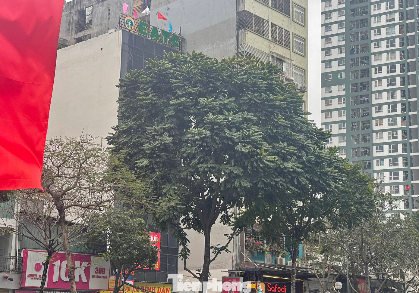 CCMN số 315 Vũ Tông Phan, Khương Đình do ông Nguyễn Mạnh Tiến làm chủ đầu tư từng xảy ra hỏa hoạn và vừa bị nêu tên vì vi phạm quy định PCCC. CCMN số 315 Vũ Tông Phan, Khương Đình do ông Nguyễn Mạnh Tiến làm chủ đầu tư từng xảy ra hỏa hoạn và vừa bị nêu tên vì vi phạm quy định PCCC.