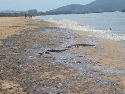 Thủ phạm gây trà dầu, tấn công bờ biển Quy Nhơn vẫn chưa tìm ra. ảnh Việt Hương