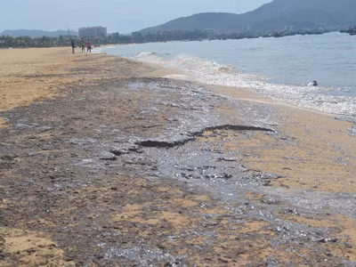 Thủ phạm gây trà dầu, tấn công bờ biển Quy Nhơn vẫn chưa tìm ra. ảnh Việt Hương. Thủ phạm gây trà dầu, tấn công bờ biển Quy Nhơn vẫn chưa tìm ra. ảnh Việt Hương