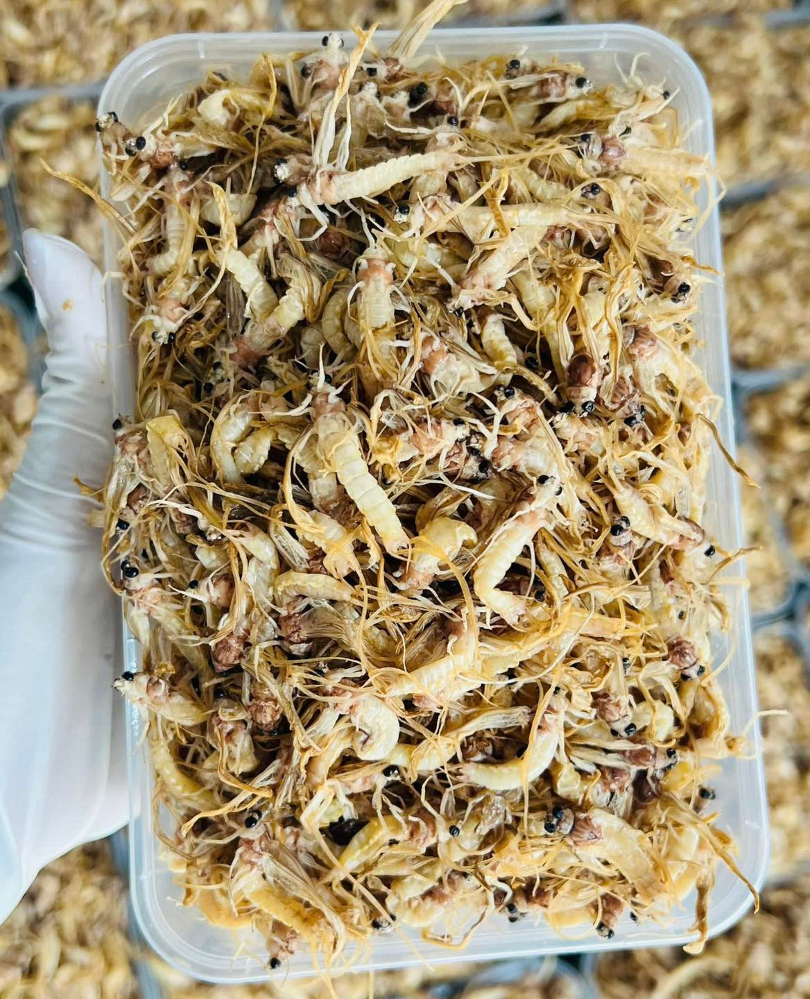 Lúc cao điểm, con vờ được bán với giá nửa triệu đồng mỗi cân nhưng vẫn hút khách mua. Ảnh: Vitot Food Lúc cao điểm, con vờ được bán với giá nửa triệu đồng mỗi cân nhưng vẫn hút khách mua. Ảnh: Vitot Food