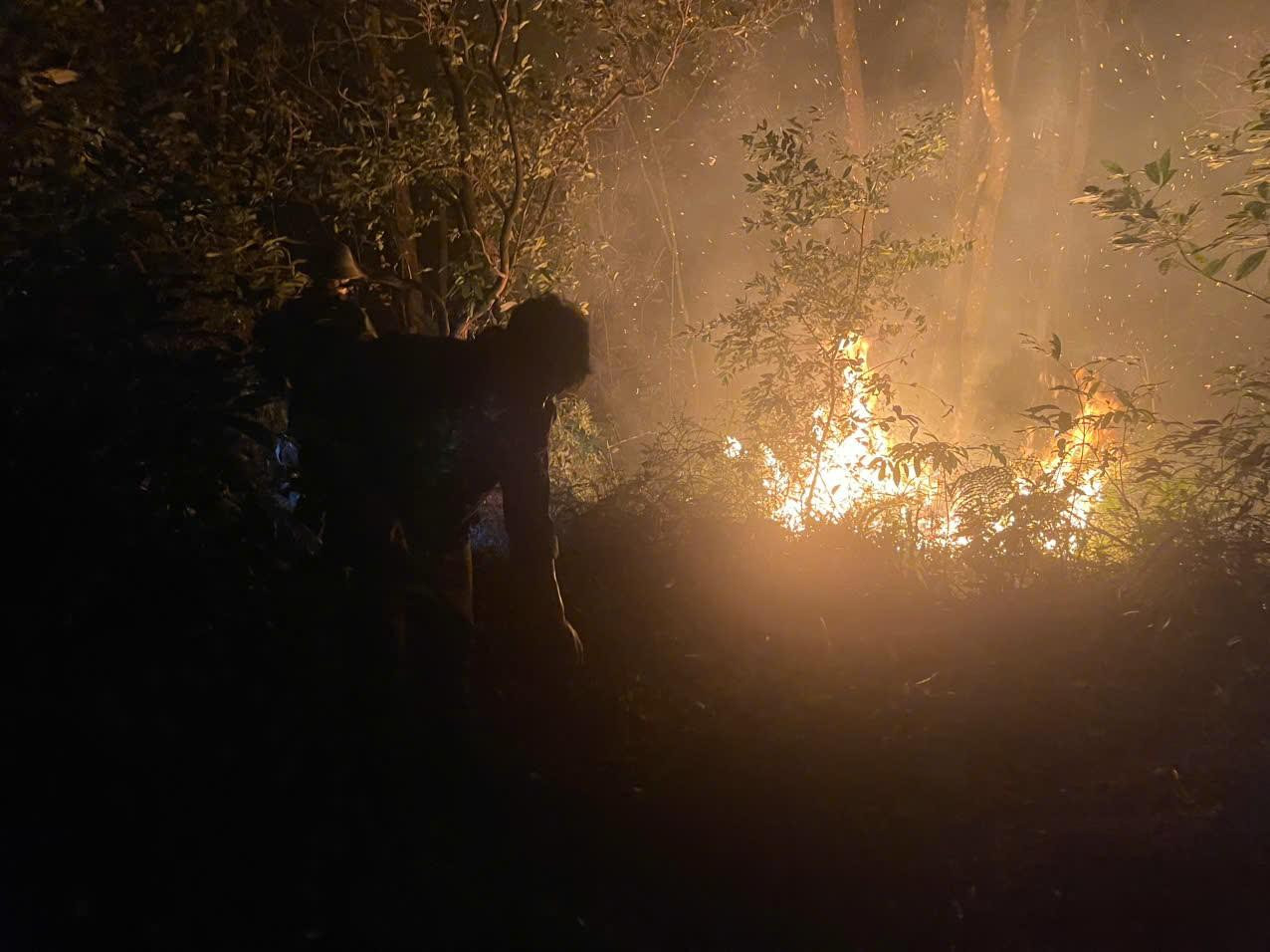 Vụ cháy tại Vườn Quốc gia Ba Vì đã xảy ra vào khoảng 21 giờ tối qua, thuộc địa bàn xã Minh Quang. Ảnh: CAHN