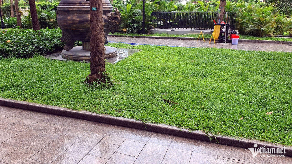 Khu vực nam thanh niên tử vong. Khu vực nam thanh niên tử vong.