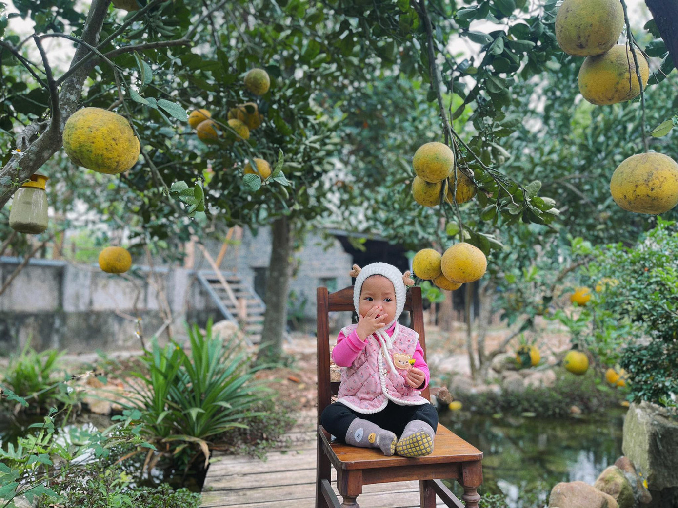 Khu vườn là nơi gia chủ dành nhiều tâm huyết nhất, đầu tư công sức và thời gian để hoàn thiện từng chi tiết