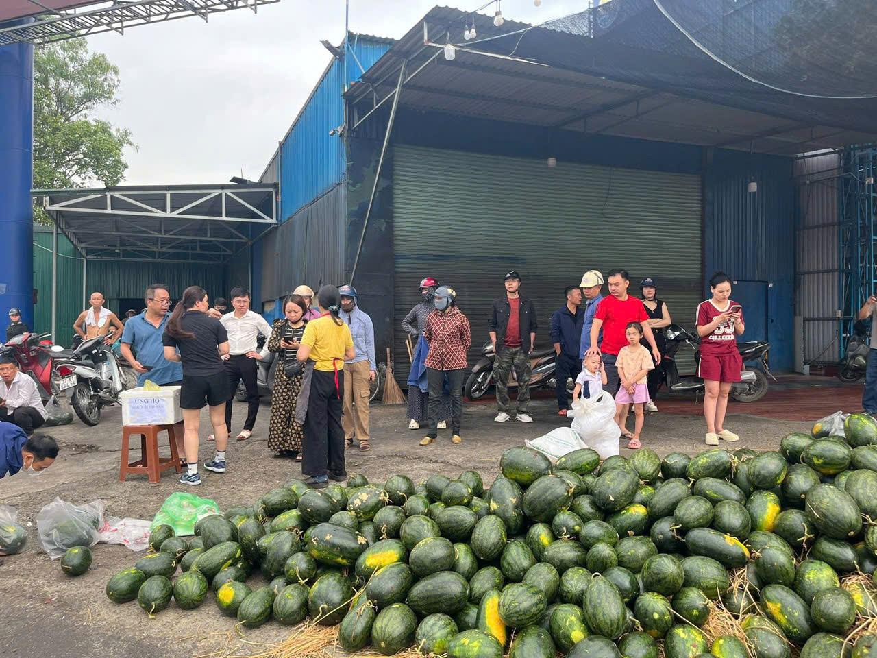 Người dân đã hỗ trợ tài xế bán dưa hấu. Ảnh: CTV Người dân đã hỗ trợ tài xế bán dưa hấu. Ảnh: CTV
