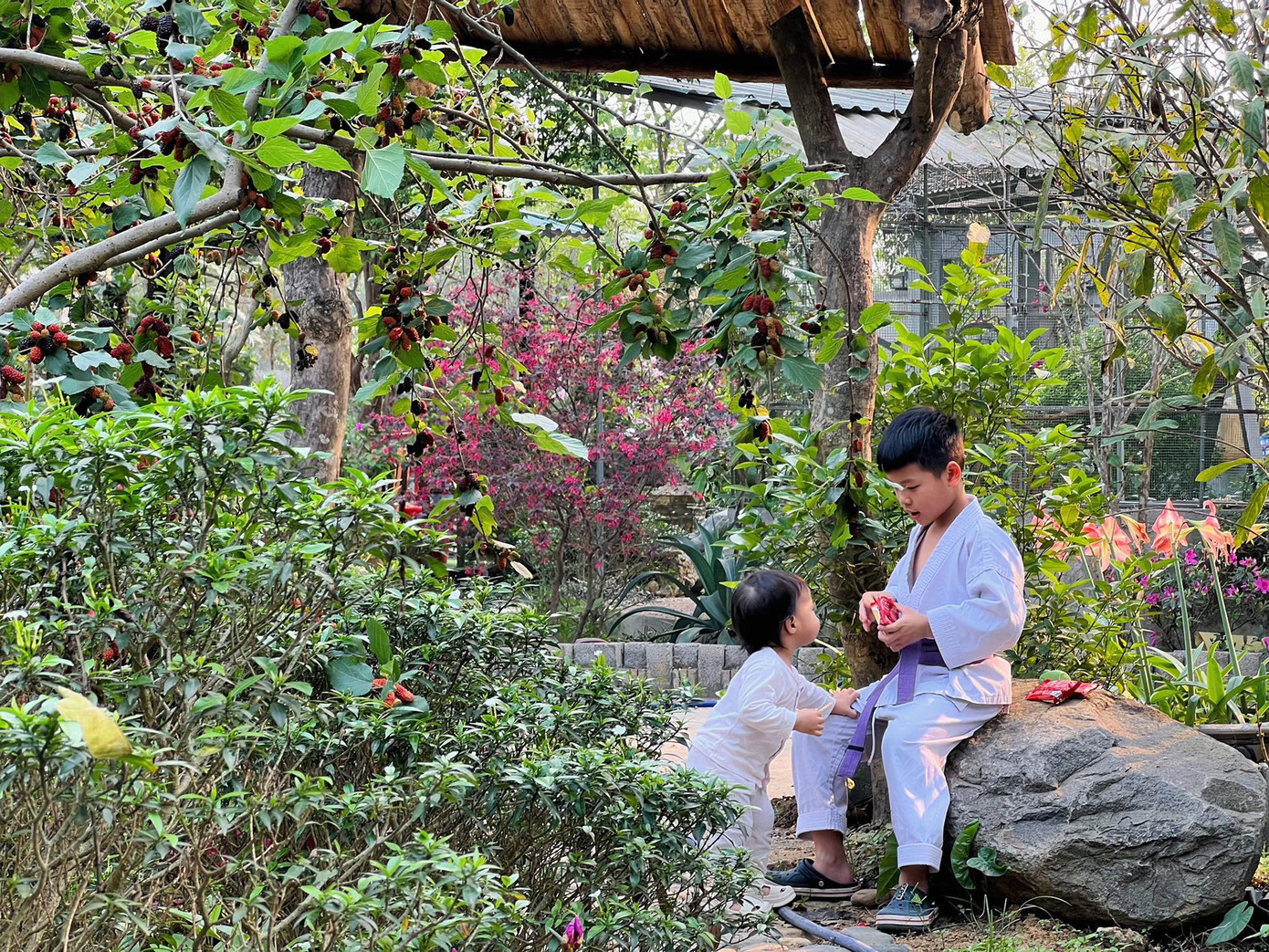 Khu vườn là nơi gia chủ dành nhiều tâm huyết nhất, đầu tư công sức và thời gian để hoàn thiện từng chi tiết