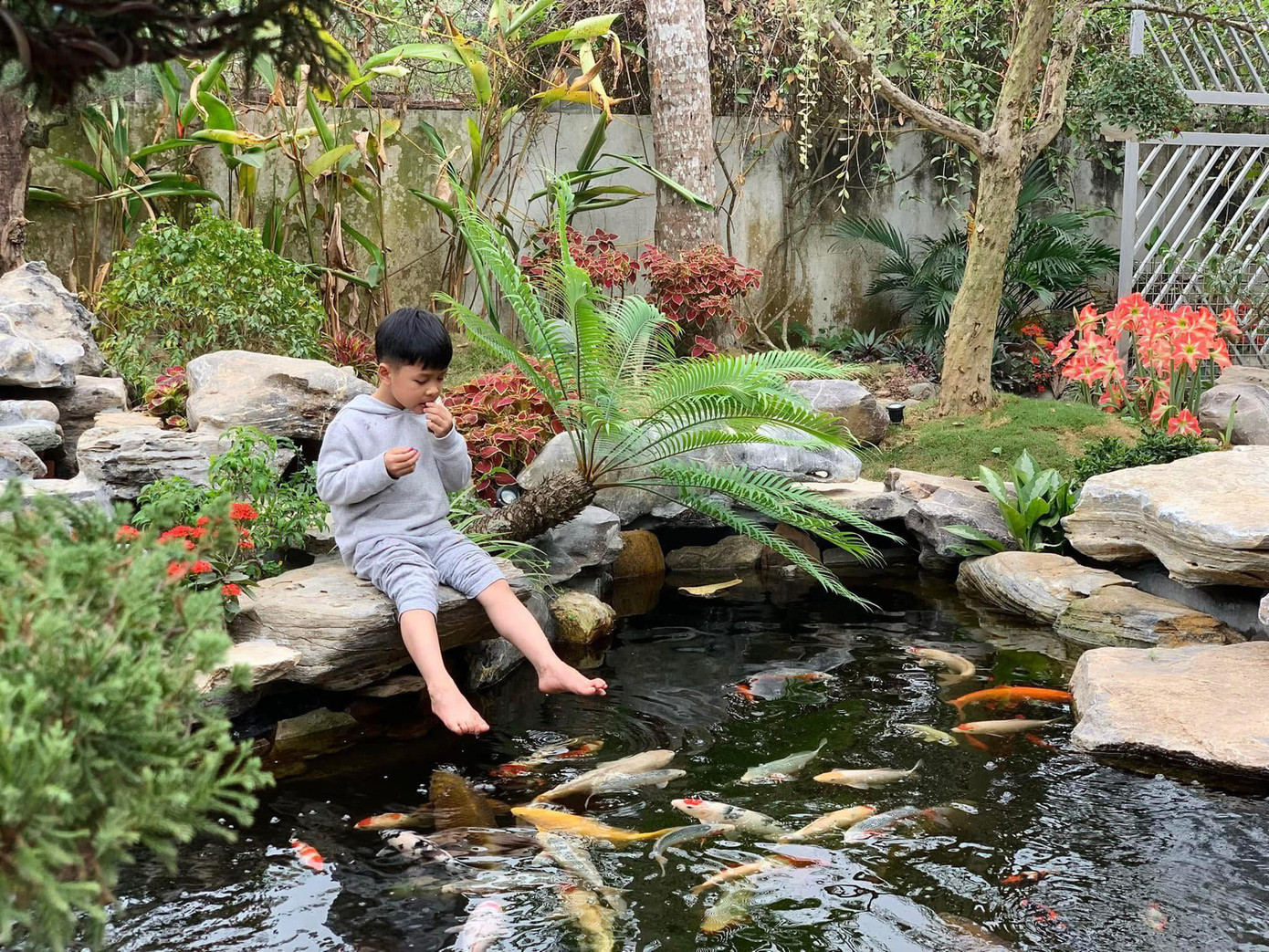 Hồ cá Koi, suối nước là nơi con chị và các bạn nhỏ tới nhà chơi đều yêu thích