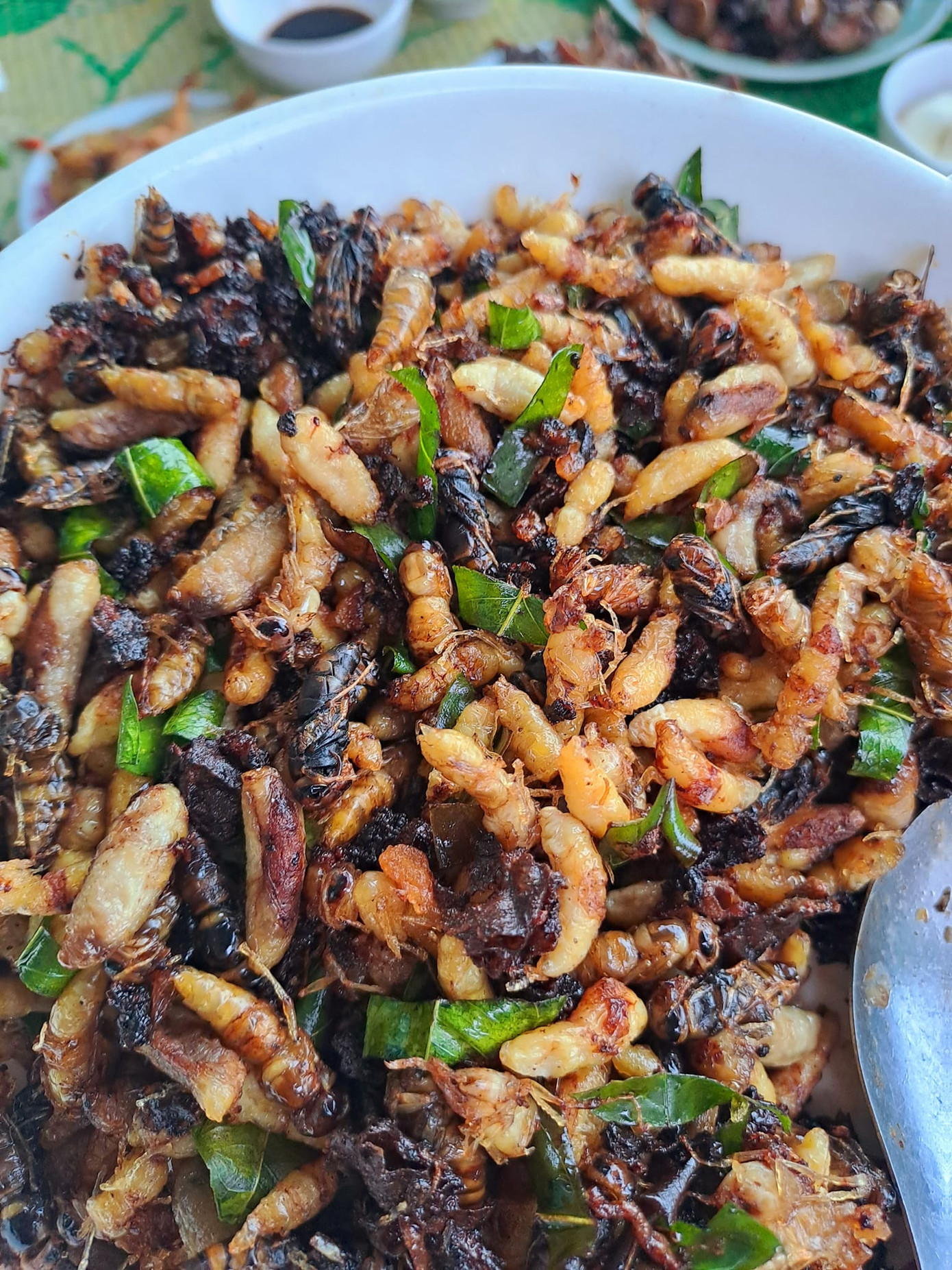 Món nhộng rang lá chanh được thực khách sành ăn yêu thích. Ảnh: Doan Ban Món nhộng rang lá chanh được thực khách sành ăn yêu thích. Ảnh: Doan Ban