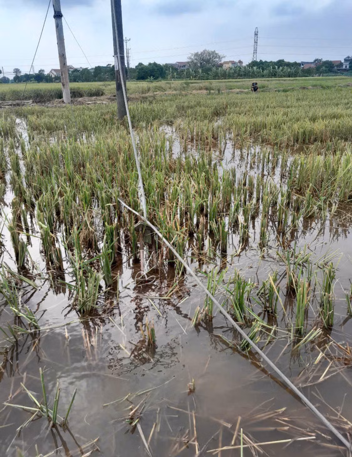 Vị trí nạn nhân tử vong. Vị trí nạn nhân tử vong.
