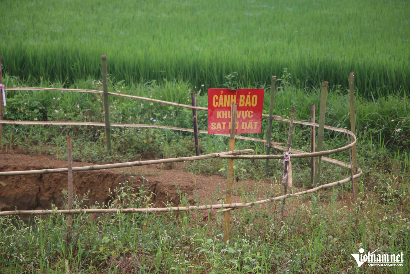 Theo thống kê, hiện tượng sụt lún ảnh hưởng đến 21 hộ dân với 92 nhân khẩu tại thôn Hiệp Lực. Diện tích đất nông nghiệp trong khu vực nguy cơ ước tính từ 12–15 ha. Đến nay, có ít nhất 7 hố sụt lún được ghi nhận, nguyên nhân cụ thể vẫn đang được cơ quan chuyên môn làm rõ. Theo thống kê, hiện tượng sụt lún ảnh hưởng đến 21 hộ dân với 92 nhân khẩu tại thôn Hiệp Lực. Diện tích đất nông nghiệp trong khu vực nguy cơ ước tính từ 12–15 ha. Đến nay, có ít nhất 7 hố sụt lún được ghi nhận, nguyên nhân cụ thể vẫn đang được cơ quan chuyên môn làm rõ.