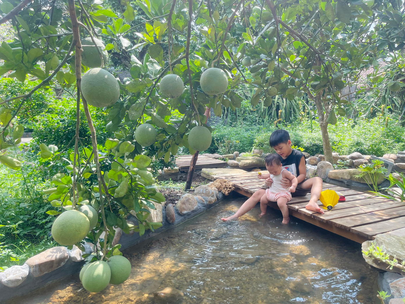 Hồ cá Koi, suối nước là nơi con chị và các bạn nhỏ tới nhà chơi đều yêu thích